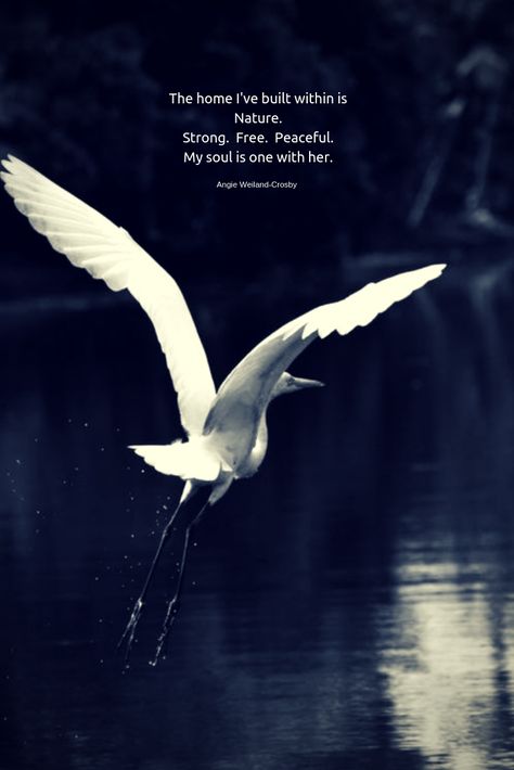 inspirational quote about nature with a white bird flying..."The home I've built within is Nature.  Strong.  Free.  Peaceful.  My soul is one with her."  #quotes #mindfulness #inspirationalquotes #naturequotes #naturelovers #birds #inspirational #nature #blogging #soul #wellbeing #angieweilandcrosby #momsoulsoothers Free Bird Quotes, Quote About Nature, Going Home Quotes, Short Nature Quotes, Forest Quotes, Nature Quotes Inspirational, Quotes Time, Summer Nature Photography, Tree Quotes