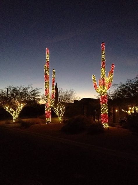 Cactus With Christmas Lights, Desert Christmas, Southwest Christmas, Cactus Christmas Trees, Christmas Outdoors, Cactus Christmas, Holiday Lookbook, Christmas Cactus, December 24th