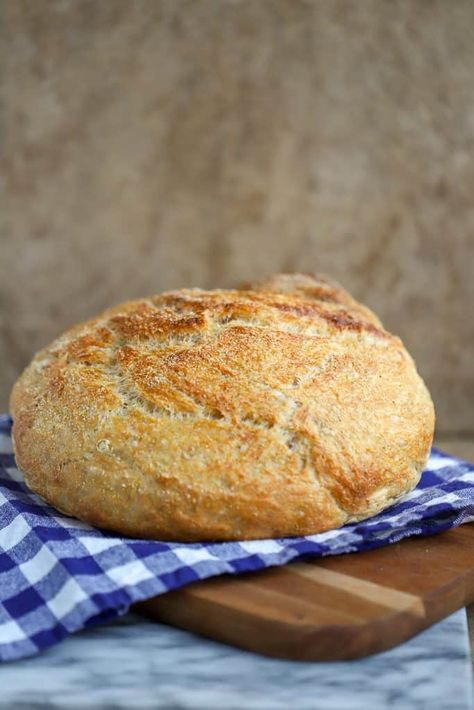 Loaf of Knead Not Sourdough Bread No Knead Sourdough Bread, No Knead Sourdough, Baking Bread At Home, Beginners Bread Recipe, Dutch Oven Bread, Brown Recipe, Baker Photography, Bread At Home, Homemade Bread Recipes