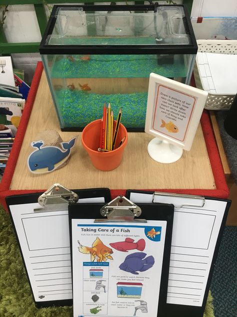 Writing about our Class Pets the fish Fish Tank In Classroom, Classroom Pets Real, Classroom Fish Tank Class Pet, Classroom Fish Tank, Nurture Room, Class Pets, Fish Project, Teacher Goals, Kindergarten Inquiry