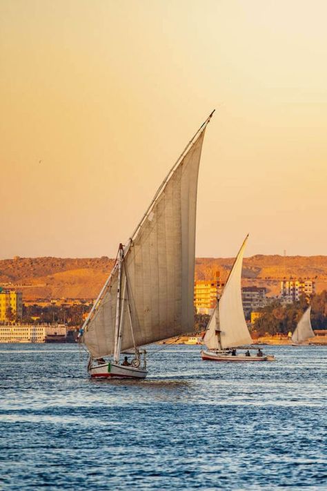 Nile River - Tours From Hurghada Hurghada Egypt, Egypt Aesthetic, Nile River, Paper Boat, River Boat, Group Travel, Luxor, Cairo, Travel Dreams