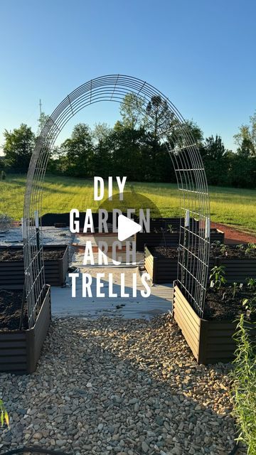 Julie | Farmhouse On Waters on Instagram: "We use hog panels for our garden arch trellises. They are not as wide as cattle panels and fit perfectly in our raised garden beds. We install them on the inside of the garden bed for a couple of reasons. We are able to use almost all of the panel to grow our veggies and we like the way it looks. We also install solar twinkle lights for added interest at night. 

#gardentrellis #gardentrellises #archtrellis #gardendesign #gardening #gardenideas #happygardeninglife #gardeningtips #gardeninghacks #gardenhack #gardeninspiration #ourgarden #backyardgarden #backyardgardening #gardenlover #gardenarch #gardeningonabudget #budgetgardening #trellis" Bed Frame Garden Gate, Raised Garden Beds Trellis Arch, Arch Trellis Ideas Garden, Cattle Panel Trellis Arches, Wonderland Backyard, Tiny Yard, Horse Trough, Garden Arch Trellis, Cattle Panels