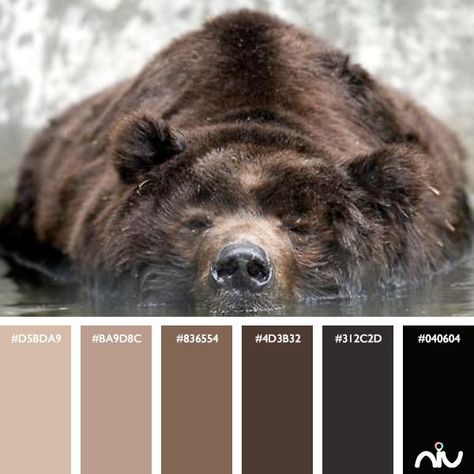 Brown Bear Color Palette Bear Color Palette, Bear Fursona, Bear Paint Colors, Cozy Log Cabin, House Color Palettes, Color Script, Brown Color Palette, Color Schemes Colour Palettes, My Logo