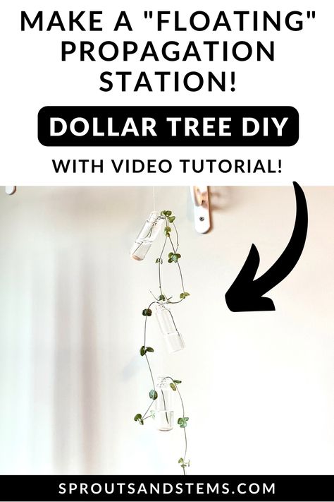 Learn how to make this easy propagation station that looks like it’s floating in the air! Diy Propagation Station Dollar Tree, Diy Plant Propagation Station, Plant Propagation Diy, Propagation Station Diy, Diy Propagation Station, Plant Styling, Floating In The Air, Propagation Station, Plant Propagation