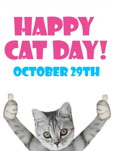 Happy National Cat Day, October Days, Meow Mix, Calendar Art, National Cat Day, Sandra Boynton, Birthday Reminder, International Cat Day, Tom Y Jerry