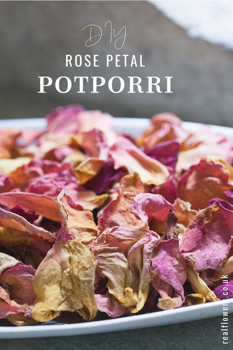 How to Make Potpourri with Rose Petals | The Real Flower Company blog Diy Potpourri Dried Rose Petals, Dried Flowers Potpourri, Making Potpourri With Dried Flowers, Rose Petal Potpourri, Rose Simmer Pot, Potpourri Recipes Dried, How To Dry Rose Petals, Dried Rose Petals Ideas, Make Potpourri