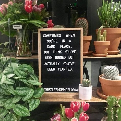 Never give up Couple Travel Quotes, Plant Quotes, Message Board Quotes, Plant Puns, Plants Quotes, Letter Boards, Garden Quotes, Memo Boards, Plant Aesthetic