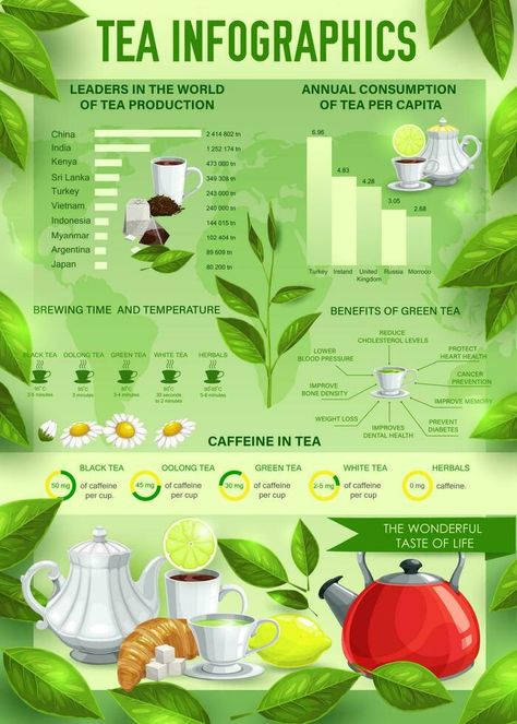 Tea beverage vector infographics, charts, graphs Tea Infographic, Photoshop Illustration Tutorial, Cd Template, Drinking Green Tea, Benefits Of Green Tea, Functional Beverage, Powerpoint Charts, Green Tea Benefits, Infographic Illustration