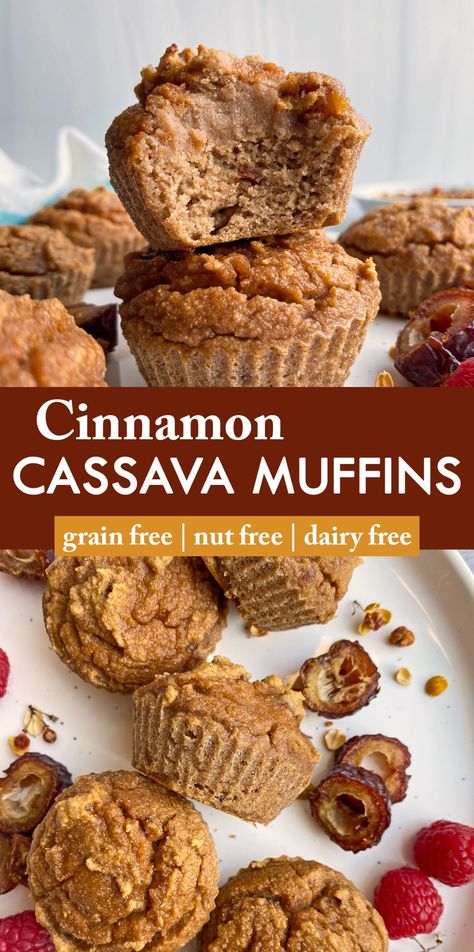 These paleo cassava flour muffins are made with cassava flour, eggs and sweetened with dates (no sugar added). This small batch of muffins is moist, dense and perfect as a breakfast option or snack. #cassava #cassavamuffins #paleodiet #paleorecipes #nutfree Cassava Muffins, Cassava Recipe, Cassava Flour Recipes, Muffins Paleo, Muffins Blueberry, Paleo Muffins, Aip Desserts, High Protein Desserts, Lectin Free