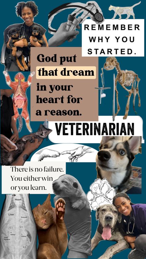 Veterinarian Career, Vet Pictures, Vet School Motivation, Equine Veterinarian, Vet Tech School, Becoming A Veterinarian, Veterinary Studies, Large Animal Vet, Veterinary School