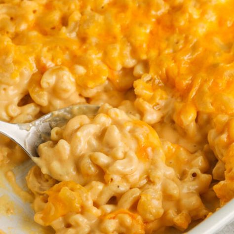 Homemade Mac & Cheese (extra creamy) Spend With Pennies Holly Nilsson Recipes, Mac And Cheese With Cheddar Cheese Soup, Easy Main Dish Casseroles, Mc And Cheese Recipe, Homemade Mac And Cheese Recipe Baked, Mac And Cheese Recipe Soul Food, Macaroni And Cheese Casserole, Best Mac N Cheese Recipe, Mac And Cheese Casserole