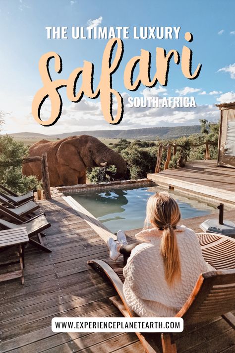 Exclusive Luxury Safari in South Africa African Safari Vacation, African Safari Trip, South African Safari, Africa Luxury, Game Reserve South Africa, Luxury African Safari, South Africa Safari, Safari Camp, Safari Vacation