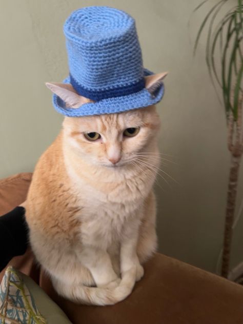 Pattern includes tips for adjustments to specifically fit your pet and pictures for extra guidance! Top Hat Crochet, Crochet Cat Hat, Baby Orange, Cute Cat Memes, Hat Crochet Pattern, Cute Sewing Projects, Animal Hats, Cat Top, Cat Hat