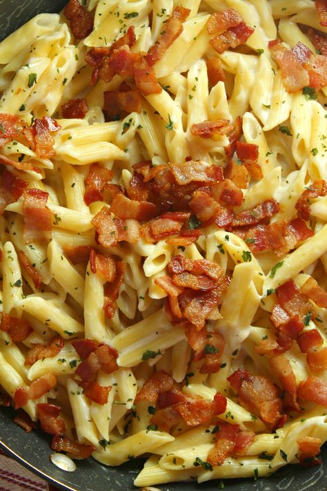 Easy Pasta With Bacon, Alfredo Sauce With Bacon, Easy Bacon Pasta Recipes, Bacon Alfredo Pasta Recipes, Pasta Bacon Recipes, Bacon Alfredo Pasta, Alfredo Dinner, Bacon Alfredo, Bacon Pasta Recipes