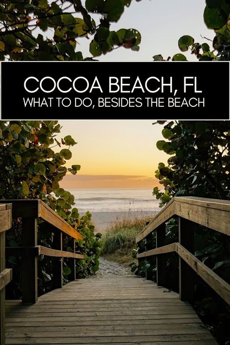 Cocoa Beach & Cape Canaveral are known for their… beaches! But what is there to do when sunburn or rain sets in? We share our favorite non-beach activities in the Cocoa Beach and Space Coast areas of Florida.

#travel #florida #vacation #activities #cruise #excursion #cocoabeach #capecanaveral #beach #family #kayaking Cocoa Beach Florida Bioluminescence, Cocoa Beach Florida Restaurants, Family Kayaking, Cocoa Beach Restaurants, Cape Canaveral Florida, Florida Beaches Vacation, Beach Bach, Cocoa Beach Florida, Florida Travel Guide