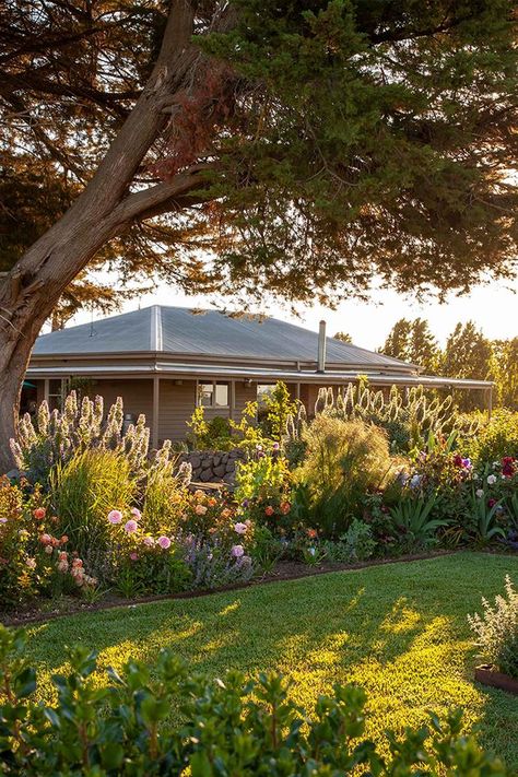 Good old-fashioned hard work and choosing hardy plants that can withstand drought and frost has seen this garden in Pipers creek, Victoria, Transformed into a true beauty. Frost Tolerant Plants Australia, Hardy Plants Outdoor, Drought Tolerant Garden Australian, Country Garden Ideas, Garden Ideas Australia, Gardens Australia, Relaxing Garden, Australian Garden Design, Country Garden Design