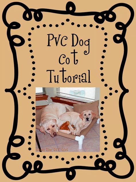 Diy Dog Gate, Dog Cots, Drop Cloth Curtains, Dog Shower, Dog Feeder, Dog Boarding, Two Dogs, Dog Show, Pvc Pipe