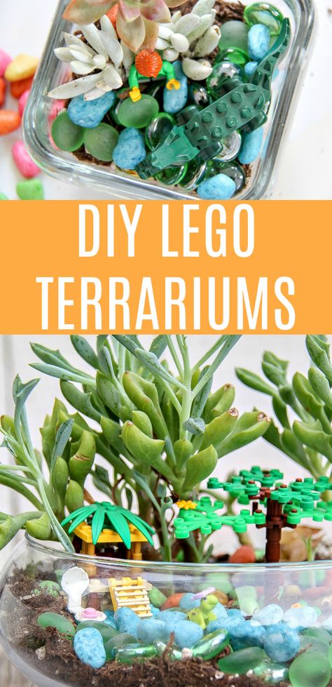 DIY LEGO Terrariums Kids Craft Lego Fairy Garden, Terrarium Ideas For Kids, 4h Project Ideas For Kids, Cloverbud 4h Projects, Terrarium For Kids, 4h Project Ideas, Lego Fairy, Dinosaur Week, Cozy Crafts