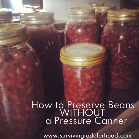 How to Preserve Beans WITHOUT a Pressure Canner. Canning beans isn't as hard as you think. Here is an easy way to can beans in a water bath instead of a pressure canner. Canning Pinto Beans Water Bath, How To Can Beans, Canning Essentials, Canning Veggies, Water Bath Cooking, Canning Beans, Canning Water, Water Bath Canning Recipes, Canned Baked Beans