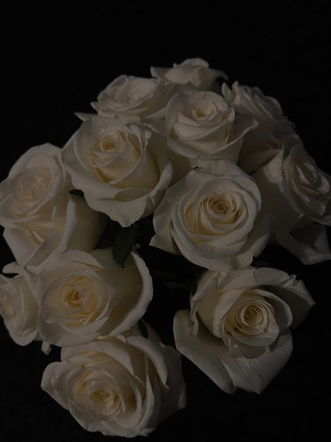 White Roses Aesthetic Dark, White Roses Aesthetic, Content Pictures, Rose In Hand, Roses Aesthetic, Rose Aesthetic, Rosé Aesthetic, Amanda Rose, Beautiful Bouquets