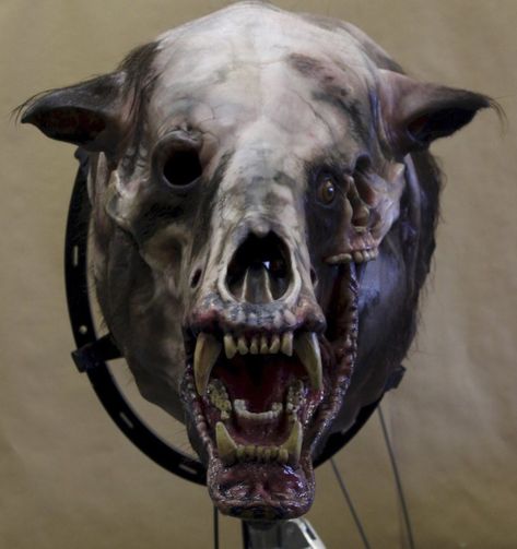 Want to See the Nightmarish Monster Bear from 'Annihilation' in All Its Glory? - Bloody Disgusting Creepy Monster, Scary Monsters, Horror Monsters, The Revenant, Creepy Art, Creature Concept, The Bear, Creature Design, Dexter