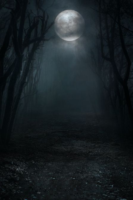 Creepy Dark Wallpaper, Gothic Background Landscape, Forest Horror Aesthetic, Horror Background Aesthetic, Werewolf Aesthetic Dark, Haunted Forest Aesthetic, Night Forest Background, Haunted Background, Night Forest Wallpaper