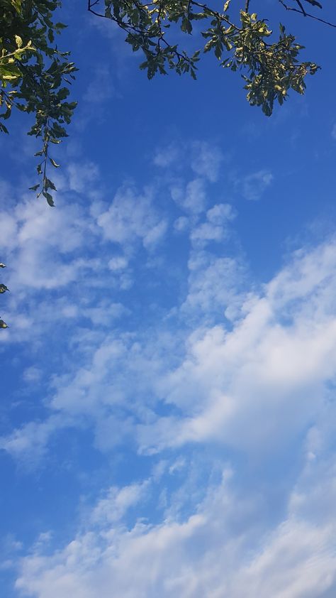 Real Sky Pics Aesthetic, Sky Real Photos, Real Sky Pics, Sky Asthetics Photos, Blue Asthetics Photos, Sky Core, Islam Pictures, Happy Birthday Clip, Blue Sky Photography