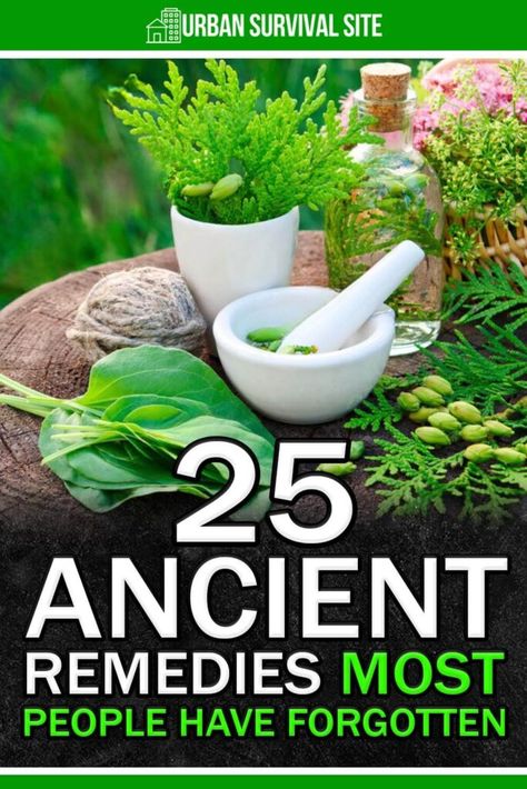 Natural Nausea Remedies, Medicine Plants, Medicinal Herbs Remedies, Blackberry Tea, Home Remedies For Bronchitis, Ancient Remedies, Remedies For Nausea, Preserving Herbs, Homesteading Ideas