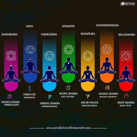 #chakras #astrology #rulingplanets #rootchakra #thirdeye #crownchakra #throatchakra #heartchakra #solarplexuschakra #sacralchakra #body #mindset #spirituality #pfs #bestastrologer
Edited · 1d Ruling Planets, Chakra For Beginners, Rahu Ketu, 7 Chakras Meditation, Human Energy, 50 Tattoo, Chakra Healing Meditation, Chakra Health, The Seven Chakras