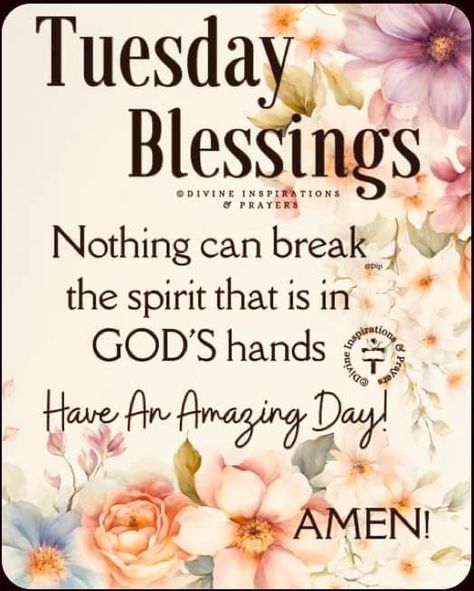 Tuesday Morning Bible Blessing, Tuesday Blessings Inspiration, Tuesday Spiritual Meaning, Tuesday Morning Wishes, Tuesday Motivation Quotes, Happy Tuesday Morning, Tuesday Inspiration, Tuesday Quotes Good Morning, Happy Tuesday Quotes