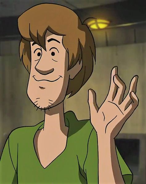 2010 Cartoon Characters, Cartoon Characters Animals, Hear Me Out Animated Characters, Shaggy Rogers Icon, Hot Characters Cartoon, Shaggy Scooby Doo Icons, Hear Me Out Cake People, Hear Me Out Crushes, Litteraly Me Character