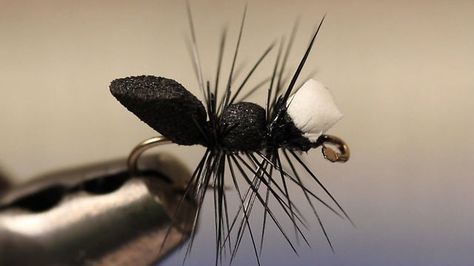 Panfish Flies, Caddis Fly, Flying Ants, Caddis Flies, Black Ants, Saltwater Flies, Fishing Vest, Fly Patterns, Fly Tying Patterns