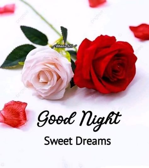 Gn Images, Beautiful Good Night Messages, Good Night Friends Images, Good Night Dear, Good Morning Dear Friend, Good Morning Love Gif, Good Afternoon Quotes, Beautiful Good Night Quotes, Morning Wallpaper