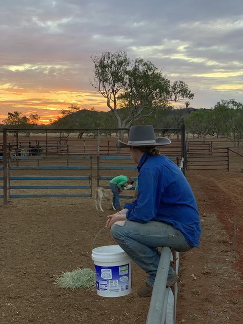 Aussie Outback Aesthetic, Jillaroo Australia, Farm Life Australia, Australian Cattle Station, Cattle Station Life, Outback Australia Aesthetic, Cattle Station Australia, Australian Outback Aesthetic, Australian Ranch