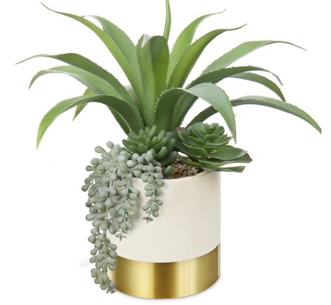 very realistic fake plants for your endtable. Desk Modern, Fake Succulents, Ceramic Succulent, Succulents Plants, Succulents Decor, Bathroom Plants, Flowers Home, Mini Succulents, Artificial Succulents