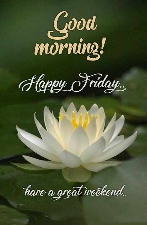 Rainy Good Morning, Happy Friday Pictures, Happy Friday Morning, Friday Wishes, Morning Friday, Friday Images, Good Morning Happy Monday, Good Evening Greetings, Good Morning Saturday