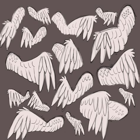 Drawing of Angel or bird wings Wings Flapping Animation, Wings Ears Drawing, Wings Covering Face Drawing, Wings Over Eyes, Flying Poses Drawing Wings, Ear Wings Drawing, Closed Wings, Folded Wings Reference, Wing Ears Drawing