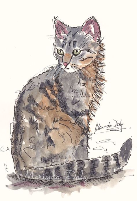 Feline Attitude. Line and wash sketch of a cat, by Marinda Daly. Sketched with black waterproof pen, and colored with Daler Rowney Artists' Water Color paints. Cat Sketch Watercolor, Watercolour Painting With Pen, Pen Drawing With Watercolor, Watercolour And Pen Art Animals, Ink And Watercolour Painting, Simple Line And Wash Watercolor Sketches, Cat Watercolour Painting, Watercolor And Pen Art Animals, Watercolor Art With Black Pen