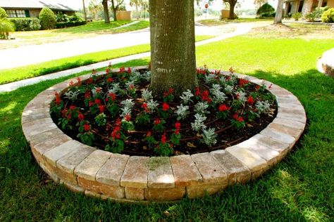 12 Amazing Ideas for Flower Beds Around Trees Plant Bed Around Tree, Raised Bed Around Tree, Tree Surround Ideas, Bed Around Tree, Ideas For Flower Beds, Flower Beds Around Trees, Beds Around Trees, Raised Flower Bed, Plant Bed