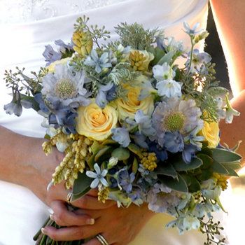 "bridal bouquet containing delphinium, blue scabiosa, tweedia, hydrangea, pieris, tuberose, Cream Prophyta roses, seeded eucalyptus, silver tree, wormwood, and succulents" Blue White Yellow Wedding Flowers, Pale Yellow And Blue Wedding, Yellow Delphinium, Blue Yellow Bouquet, Blue Scabiosa, Blue Yellow Weddings, Yellow Bridal Bouquets, Delphinium Blue, Modern Bridal Bouquets