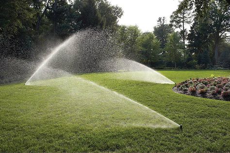 Best DIY In-Ground Lawn Sprinkler: Rain Bird In-Ground Automatic Sprinkler System Sprinkler System Design, Lawn Sprinkler System, Patio Addition, Sprinkler Repair, Lawn Irrigation, Underground Sprinkler, Sprinkler Irrigation, Rain Bird, Garden Sprinklers