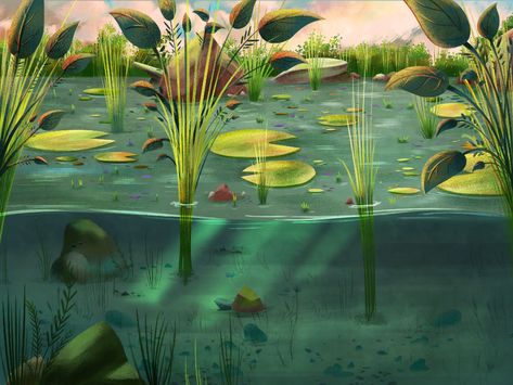 Pond Illustration Art, Frog Pond Illustration, Frog Pond Drawing, Pond Mural, Pond Illustration, Frog Pond, Pond Drawing, Noodle Art, Spring Drawing