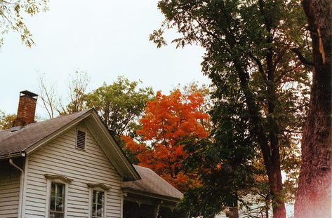 Autumn Cottage, Fall Mood Board, Season Of The Witch, Best Seasons, We Fall In Love, Autumn Cozy, Autumn Aesthetic, Cozy Fall, Fall Vibes