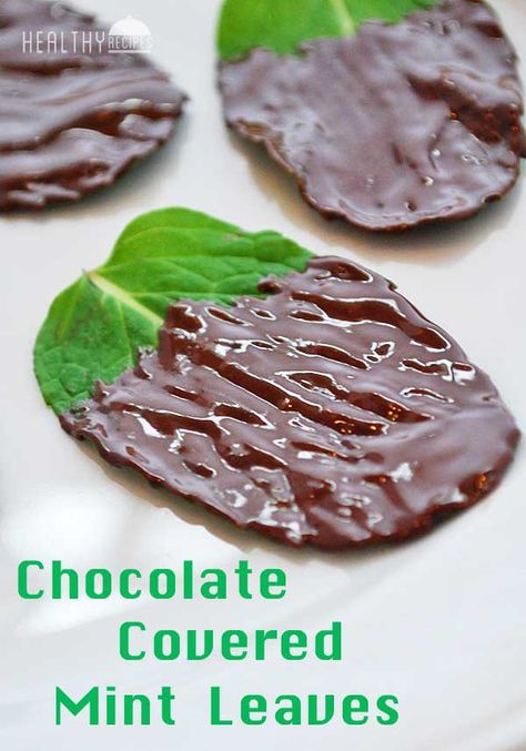 Mint Leaves Recipe, Chocolate Leaves, The Whoot, Mint Recipes, Healthy Food Blogs, Healthy Sweets, Mint Leaves, Mint Chocolate, Candy Recipes