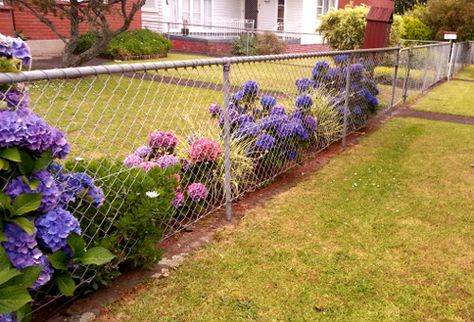 A simple chain link fence seen often, but a good example, not like the one I have at home. Backyard Border, Border Garden, Landscaping Rock, Rock Bed, Fence Planters, Front Fence, Church Decorations, Simple Chain, Fence Landscaping