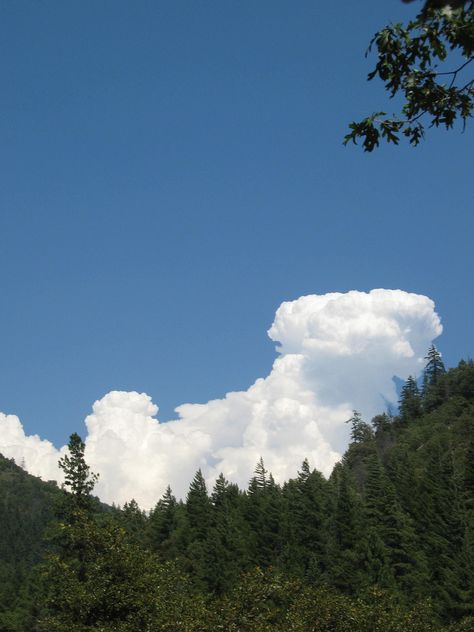 Clouds In Blue Sky, Blue Sky Green Trees Aesthetic, Blue Sky Clouds Photography, Cloudy Blue Sky, Blue Cloudy Sky Aesthetic, Clear Sky, White Clouds, Aesthetic Painting, Gods Creation