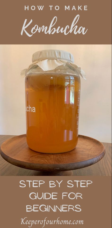 Fermented Beverages, Fermenting Foods, Make Kombucha, Pickled Foods, Fermented Drinks, Ginger Bug, Alternative Sweeteners, Homemade Kombucha, Kombucha Recipe