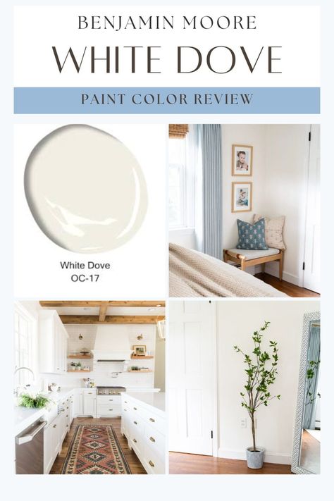 Looking for the perfect white paint for your walls or kitchen cabinets? Benjamin Moore White Dove is a classic, timeless choice! This creamy yet neutral white paint color is incredibly versatile, making it a popular pick for everything from home exteriors to cabinets, walls, and trim. Discover why White Dove is beloved for its ability to complement various styles and spaces, adding warmth and elegance wherever it’s used. White Dove Walls With White Trim, Wall Color With White Dove Cabinets, Cabinet Color With White Dove Walls, Trim Color For White Dove Walls, White Dove Kitchen Walls, White Dove Walls Chantilly Lace Trim, White Dove Walls And Trim, Benjamin Moore White Dove Walls, White Dove Color Palette