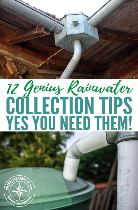 Collecting Rainwater, Rain Water Collection Diy, Water Collection System, Rainwater Collection, Water From Air, Rain Collection, Pub Set, Rainwater Harvesting, Water Collection