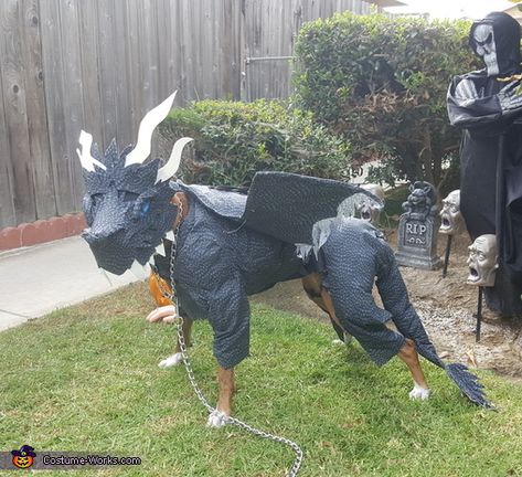 Dog Dragon Costume, Easy Diy Costumes, Diy Dog Costumes, Costume Works, Dragon Costume, Scale Fabric, Game Of Thrones Fans, Dog Halloween Costumes, Dragon Scale